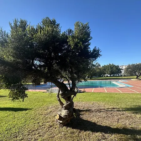 度假居 Vilanova By Check-in Portugal 阿尔布费拉